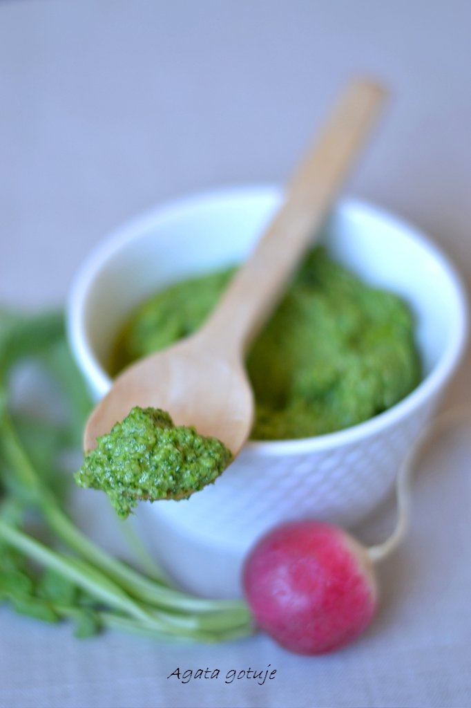 pesto z lisci rzodkiewki 01-1024